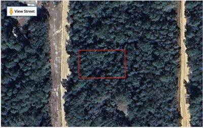 /international/us/tbd-louise-avenue-interlachen-fl-110100811752/