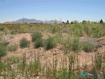 /international/us/000-000-shelly-street-deming-nm-110107654462/