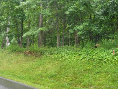 /international/us/lot-50-donald-ross-trl-hot-springs-va-110108932698/