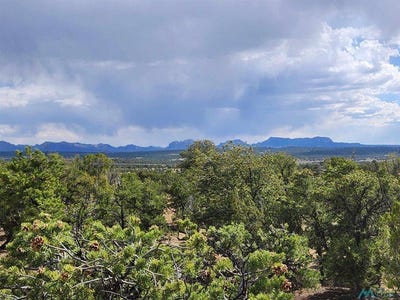 /international/us/136-ponderosa-view-loop-pie-town-nm-110095031420/
