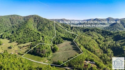/international/us/1619-squirrel-creek-rd-ararat-va-110107514526/