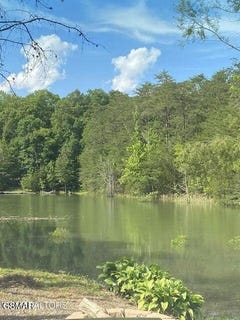 /international/us/936-pleasure-road-sevierville-tn-110101233939/