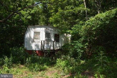 /international/us/596-back-creek-road-gore-va-110100418017/?lang=zh-tw