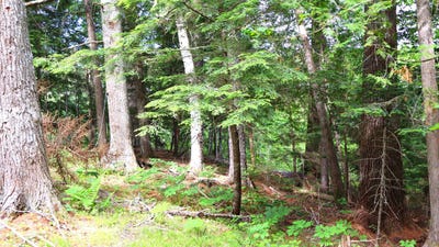 /international/us/m2l51-52-airline-road-amherst-me-110100693365/?lang=zh-tw