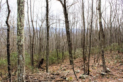 /international/us/s-high-valley-dr-lot-41-lot-42-lot-43-lot-44-monterey-va-110107267687/