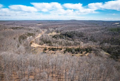 /international/us/98-acres-off-highway-y-courtois-mo-110098071420/