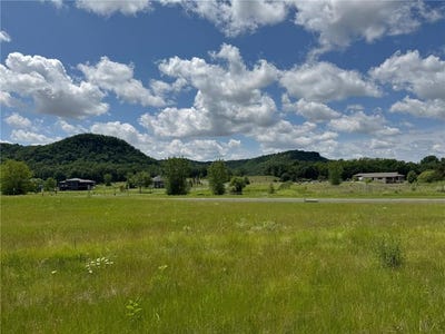 /international/us/1431-woodland-way-lake-city-mn-110100396852/