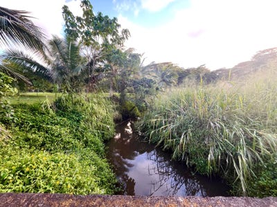 /international/us/uilama-pl-kapaa-hi-110105004195/