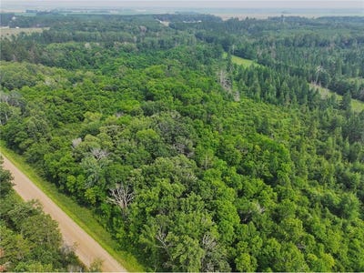 /international/us/tbd-arbor-rd-park-rapids-mn-110097351748/?lang=fr