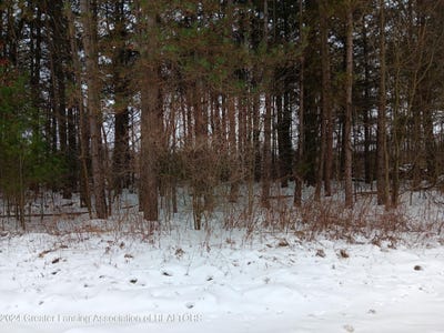 /international/us/4-blue-water-way-perry-mi-110089639412/