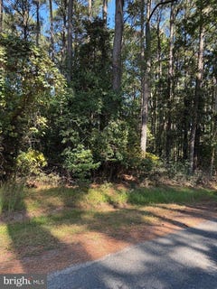/international/us/broadside-drive-lot-870-greenbackville-va-110120554347/