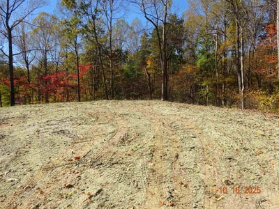 /international/us/tbd-parkersburg-swoope-va-110103057293/