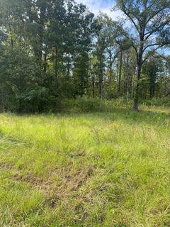 /international/us/5506-hwy-72-calhoun-falls-sc-110106819748/