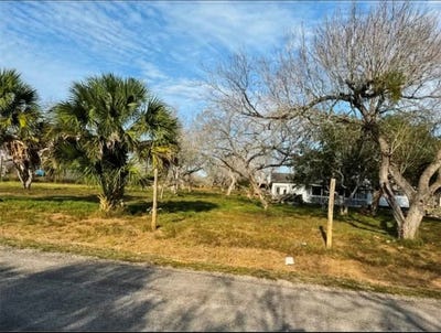 /international/us/8841-county-road-614-lot-12-skidmore-tx-110108782953/