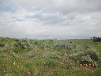 /international/us/lot-3-alta-vista-sub-lewellen-ne-110095390358/