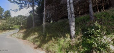 /international/us/71-parkview-road-whitethorn-ca-110108492495/