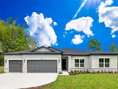 /international/us/30165-w-bluebell-avenue-eustis-fl-110107242449/
