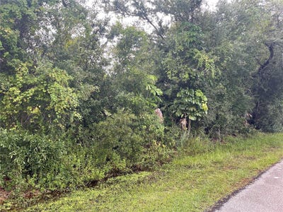/international/us/11327-baggot-avenue-englewood-fl-110120463486/