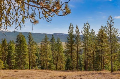 /international/us/skyline-drive-lot-25-new-meadows-id-110119902547/