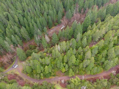 /international/us/1802-waters-creek-road-wilderville-or-110106616849/