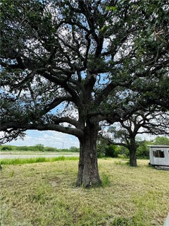 /international/us/county-road-623-624-lot-10a-skidmore-tx-110108782535/