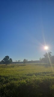 /international/us/county-road-725-buna-tx-110105093075/