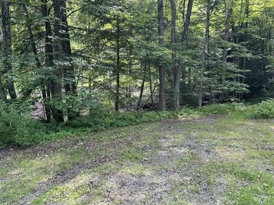 /international/us/gird-lot-road-weathersfield-vt-110109080985/?lang=th