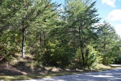/international/us/holland-drive-lot-3-columbus-nc-110095363903/