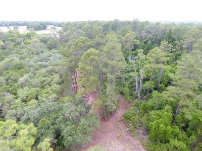 /international/us/161-snake-hill-road-crescent-city-fl-110120119772/