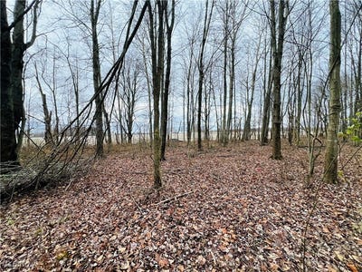 /international/us/kinsman-knickerson-road-kinsman-oh-110103986079/