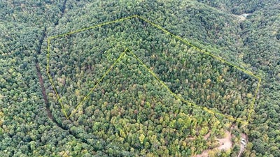 /international/us/996-bear-creek-rd-gassaway-wv-110110376623/
