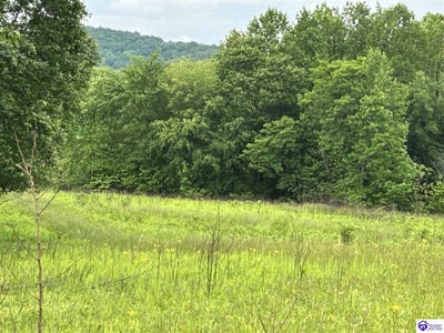 /international/us/000-reddie-tucker-road-south-columbia-ky-110091982075/