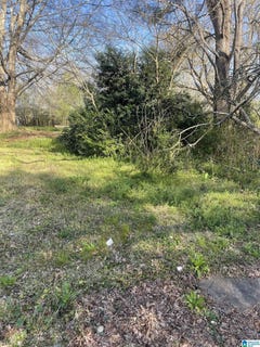 /international/us/west-avenue-lot-1-roanoke-al-110108577479/