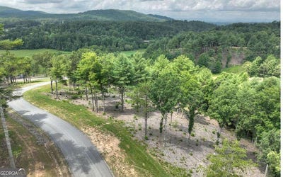 /international/us/lot-222-ridge-dr-morganton-ga-110105004854/