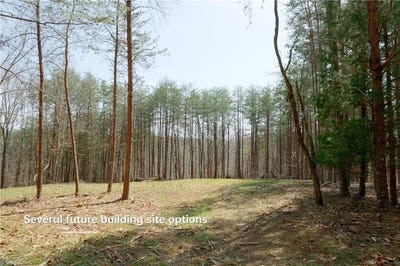 /international/us/1583-seven-island-road-danbury-nc-110106523180/