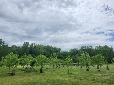 /international/us/255-tower-drive-boonville-in-110097927716/