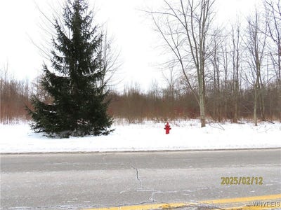 /international/us/tonawanda-creek-road-clarence-ny-110097511925/?lang=zh-tw