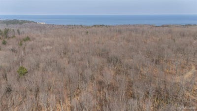 /international/us/peninsula-acres-road-manistique-mi-110107639698/