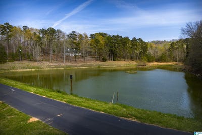 /international/us/32728-us-highway-411-ashville-al-110107318769/