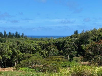 /international/us/kanaele-rd-kapaa-hi-110104489029/