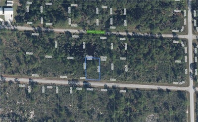 /international/us/3413-pheasant-avenue-lake-placid-fl-110100800896/