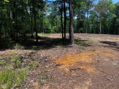 /international/us/1779-county-road-54-ozark-al-110108771860/