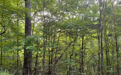 /international/us/lt-13-the-preserve-at-beach-mountain-brasstown-nc-110086211252/?lang=zh-cn
