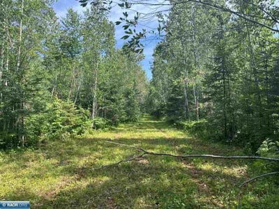 /international/us/town-road-118-birchdale-mn-110107653198/