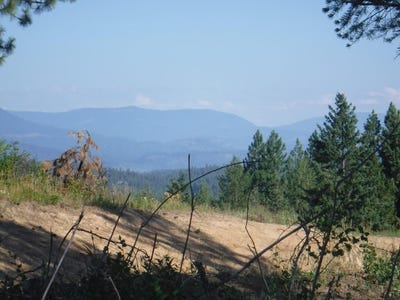 /international/us/lot-4-moose-ridge-way-loon-lake-wa-110101267826/?lang=zh-tw