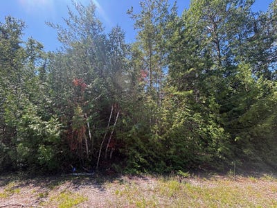 /international/us/nhn-northland-heights-drive-presque-isle-mi-110101047670/