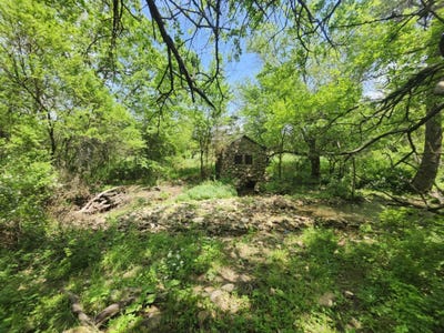 /international/us/000-wolfe-drive-mountain-grove-mo-110099493788/