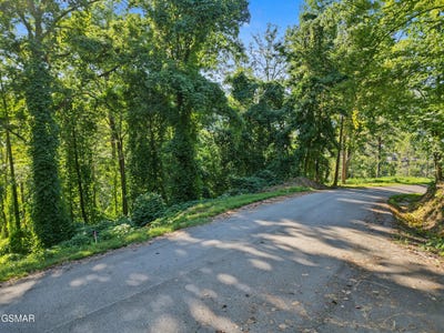 /international/us/davenport-road-lot-14-gatlinburg-tn-110120005435/