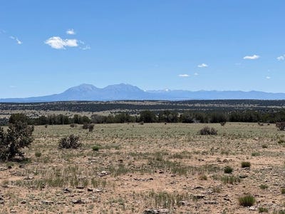 /international/us/169-tyrone-hills-walsenburg-co-110108471306/