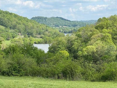 /international/us/222-cook-hollow-ln-pleasant-shade-tn-110109530311/